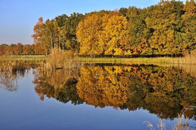 2015 10 27 du weiher bergfriede 2