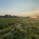 2024 07 23 da buchhorst 1