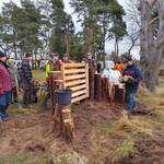 2025 02 04 hamann baubienenburg wassensdorf