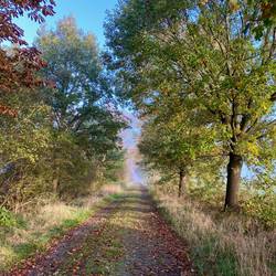 Lamprechtsdamm IMG 9997