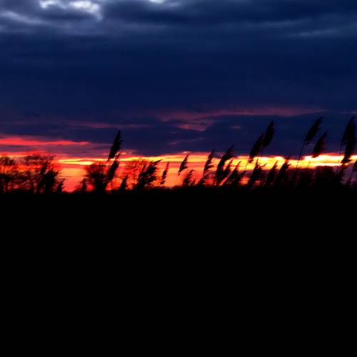 2014 02 09 du abendstimmung 1