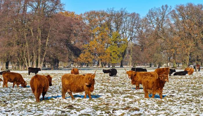 2023 11 30 du highlands berenbrock 1 1