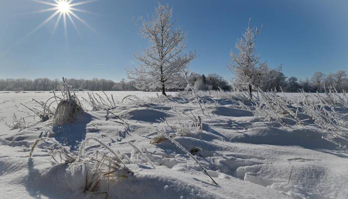 2021 02 14 du winterlandschaft ohre 2