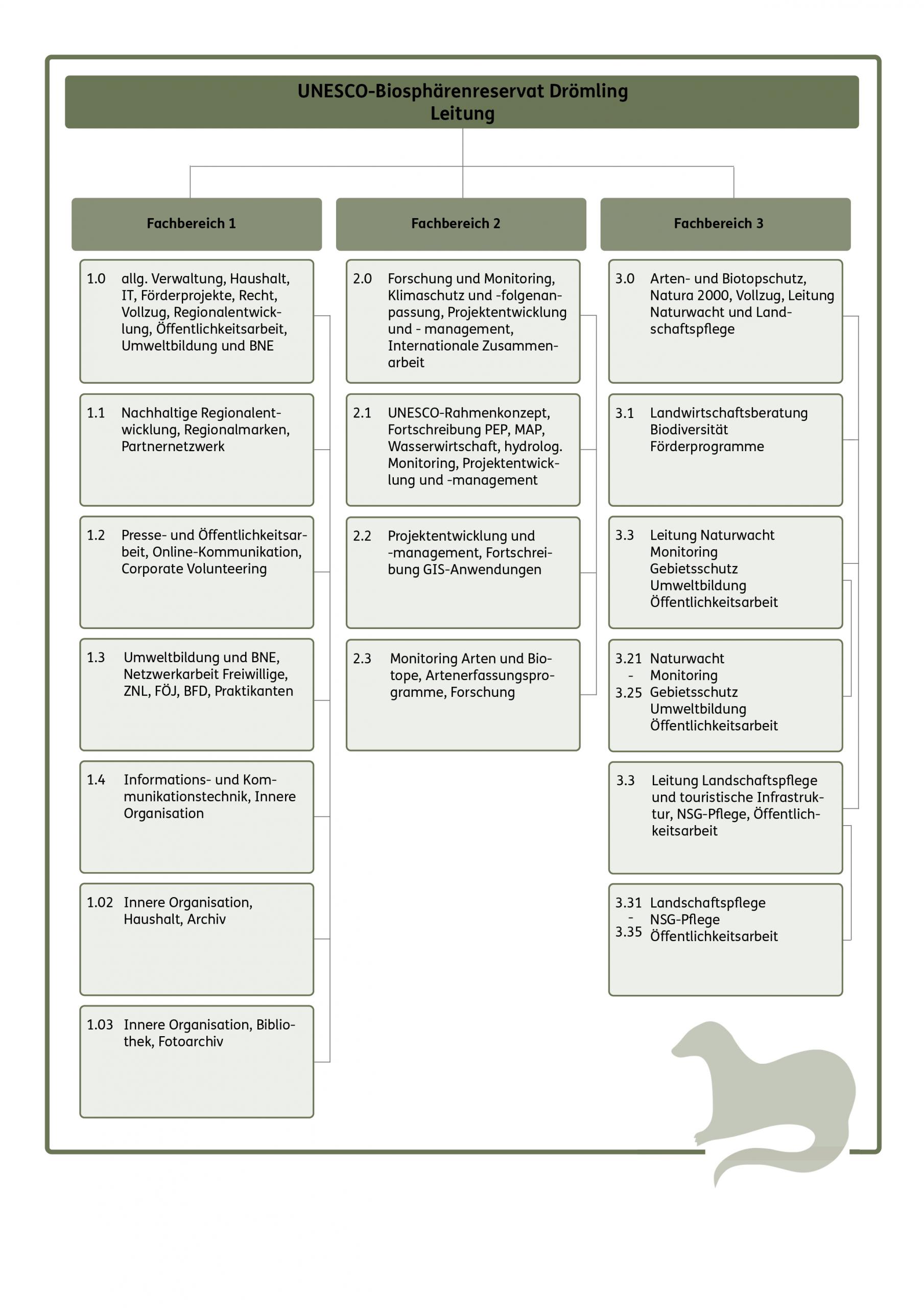 organigramm unesco biosph renreservatsverwaltung dr mling organigramm unesco biosph renreservatsverwaltung dr mling