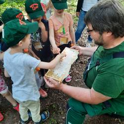 20210 6 09 Wie Bienen Hagenwichtel Walbeck