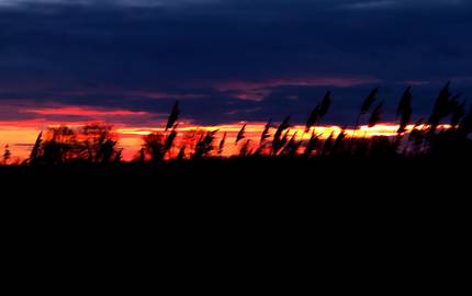 2014 02 09 du abendstimmung 1