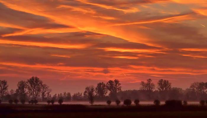 2015 11 02 du buschbleeke 1